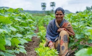 female organic cotton famer on her organic cotton field