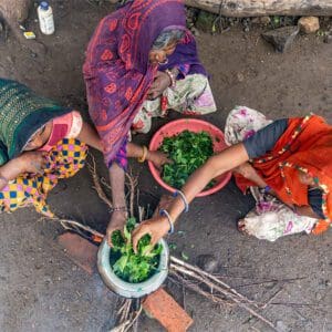 planting organic cotton seed
