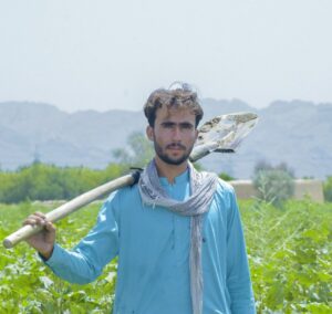 Organic cotton farmer Muhammad Aslam