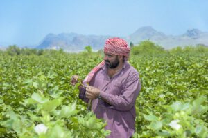 Organic cotton farmer Abdul
