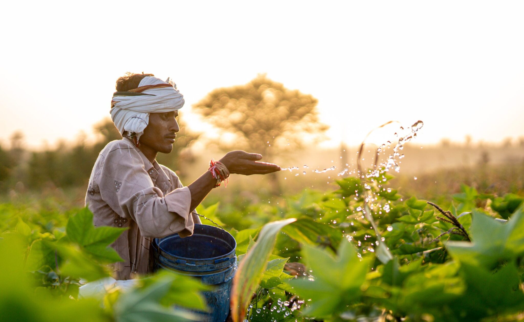OCA convenes key stakeholders to scale organic cotton in India ...