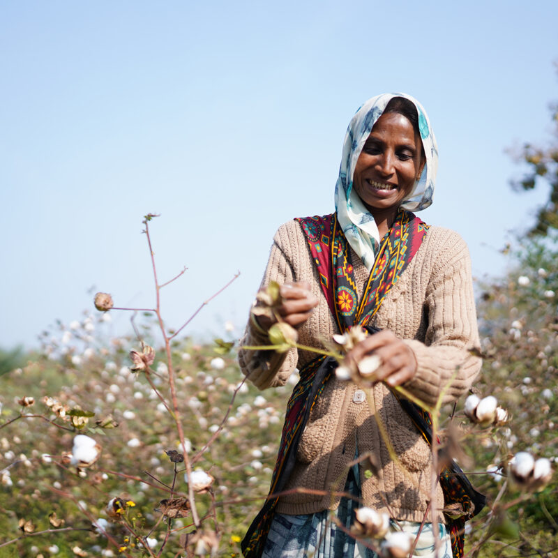 Woman working in organic cotton field