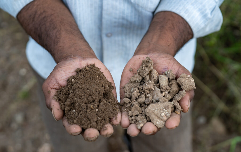 Climate change on the soil